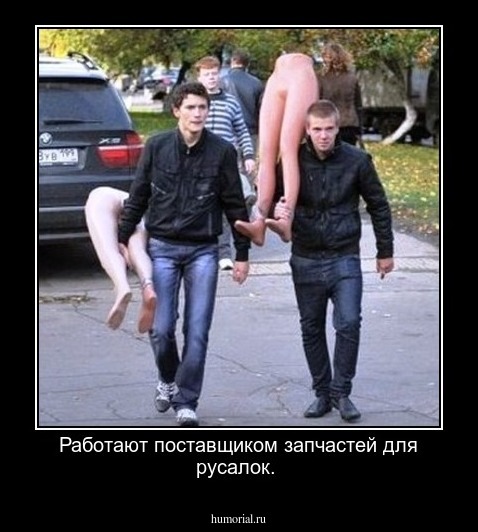 Работают поставщиком запчастей для русалок.