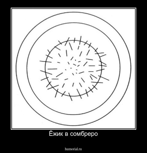 Ёжик в сомбреро