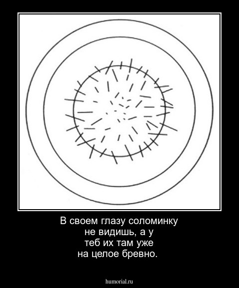 В своем глазу соломинку не видишь, а у теб их там уже на целое бревно.