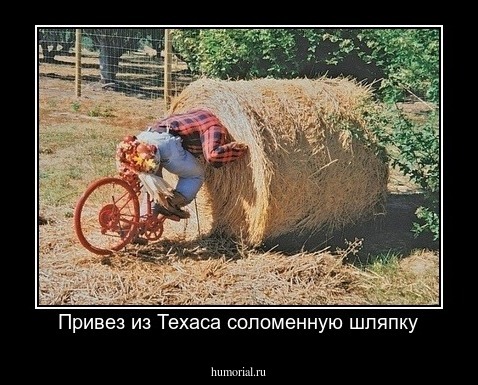Привез из Техаса соломенную шляпку