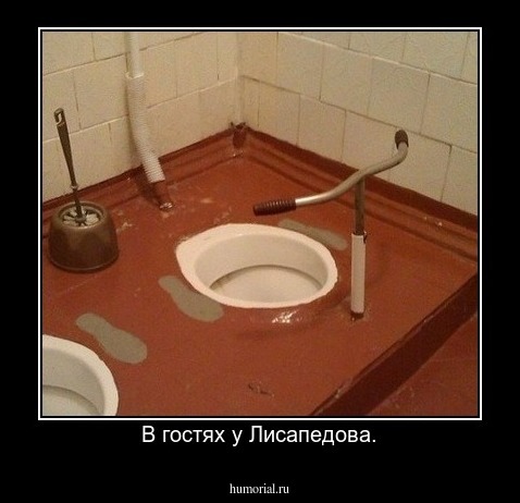 В гостях у Лисапедова.