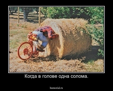 Когда в голове одна солома.