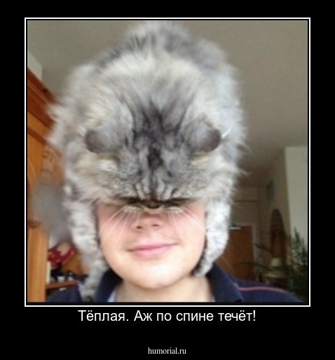Тёплая. Аж по спине течёт!