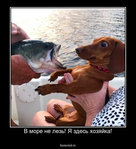 В море не лезь! Я здесь хозяйка!