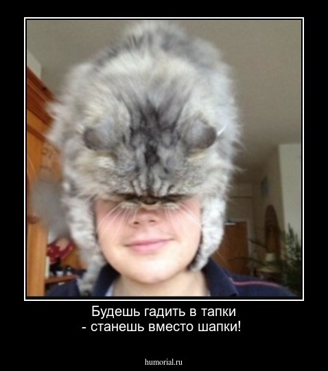 Будешь гадить в тапки - станешь вместо шапки!
