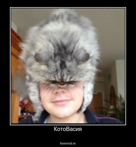 КотоВасия