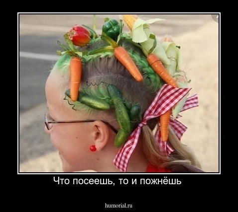 Что посеешь, то и пожнёшь 