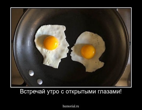 Встречай утро с открытыми глазами!