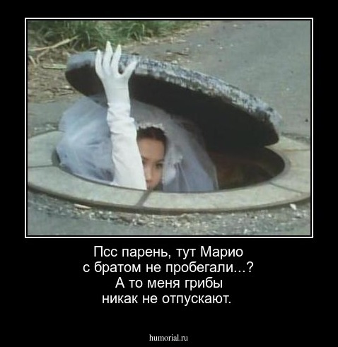 Псс парень, тут Марио с братом не пробегали...? А то меня грибы никак не отпускают.