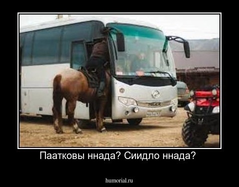 Паатковы ннада? Сиидло ннада? 