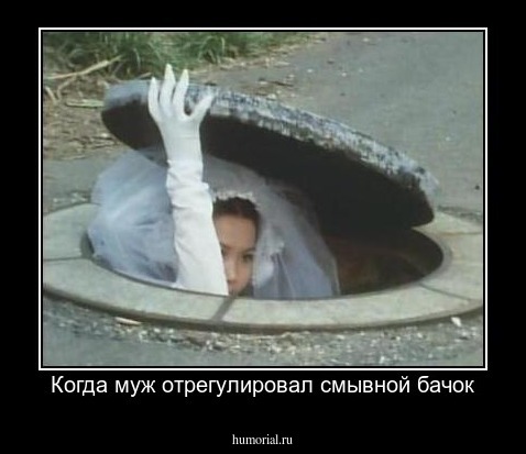 Когда муж отрегулировал смывной бачок