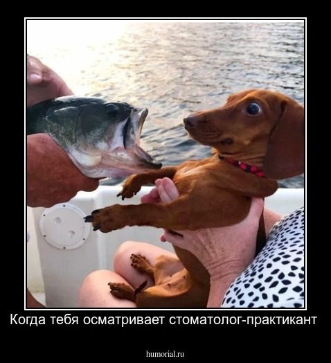 Когда тебя осматривает стоматолог-практикант