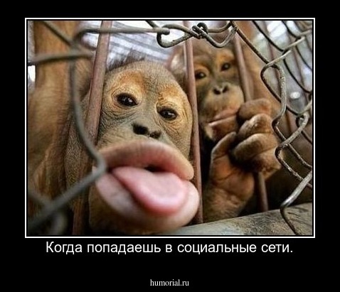 Когда попадаешь в социальные сети.