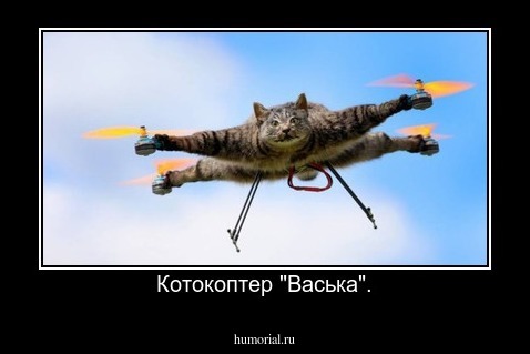 Котокоптер "Васька".