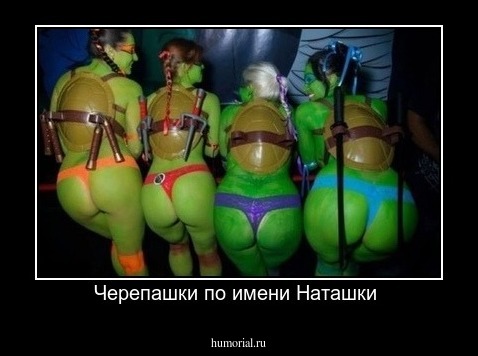 Черепашки по имени Наташки 