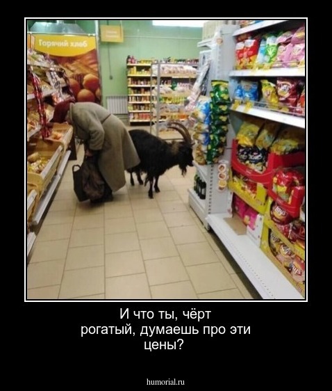 И что ты, чёрт рогатый, думаешь про эти цены?