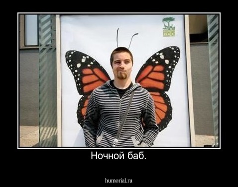 Ночной баб.