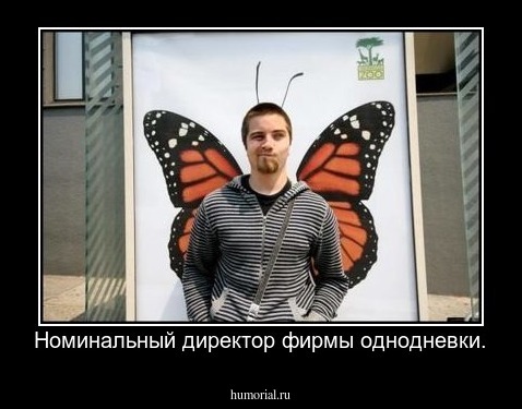 Номинальный директор фирмы однодневки.
