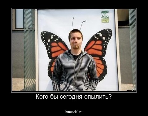 Кого бы сегодня опылить?