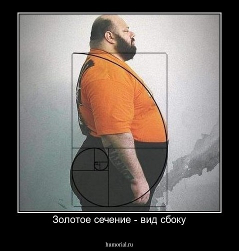 Золотое сечение - вид сбоку
