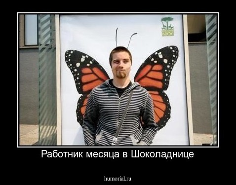 Работник месяца в Шоколаднице