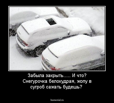 Забыла закрыть..... И что? Снегурочка белокудрая, жопу в сугроб сажать будешь?