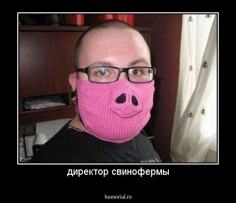 директор свинофермы