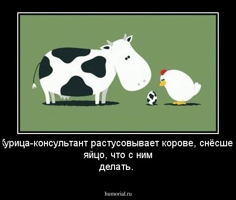 Курица-консультант растусовывает корове, снёсшей яйцо, что с ним делать.