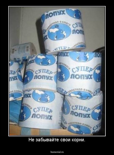Не забывайте свои корни.