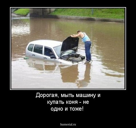 Дорогая, мыть машину и купать коня - не одно и тоже!