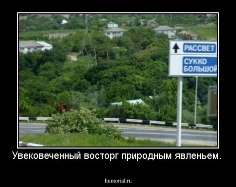Увековеченный восторг природным явленьем.