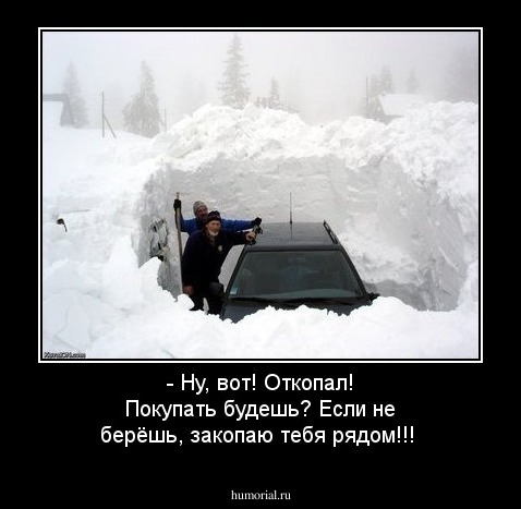 - Ну, вот! Откопал! Покупать будешь? Если не берёшь, закопаю тебя рядом!!!