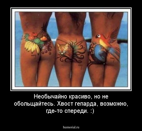  Необычайно красиво, но не обольщайтесь. 


Хвост гепарда, возможно, где-то спереди. :)