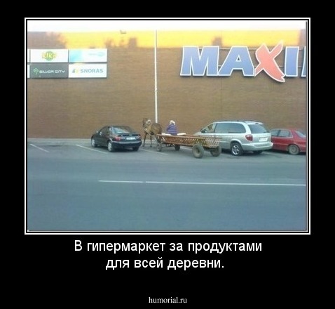 В гипермаркет за продуктами для всей деревни.