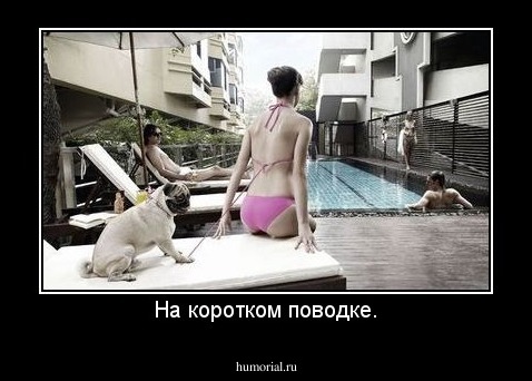 На коротком поводке.