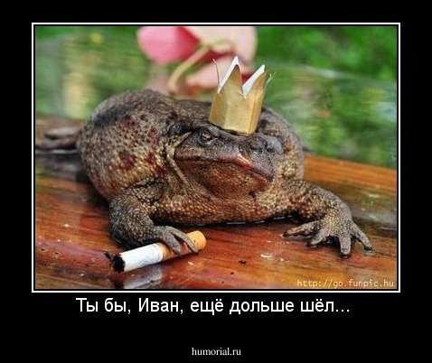 Ты бы, Иван, ещё дольше шёл... 