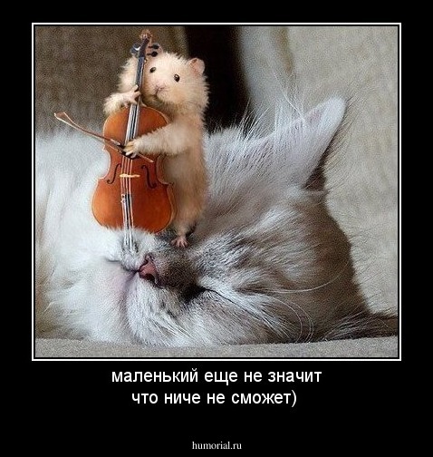 маленький еще не значит что ниче не сможет)