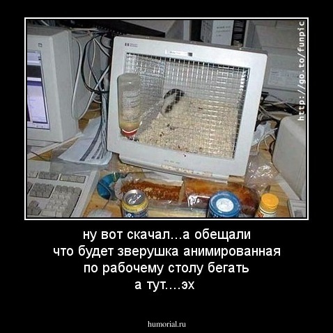 ну вот скачал...а обещали что будет зверушка анимированная по рабочему столу бегать а тут....эх