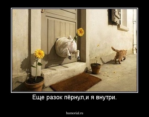 Еще разок пёрнул,и я внутри.