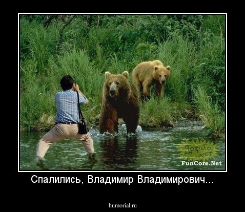 Спалились, Владимир Владимирович...