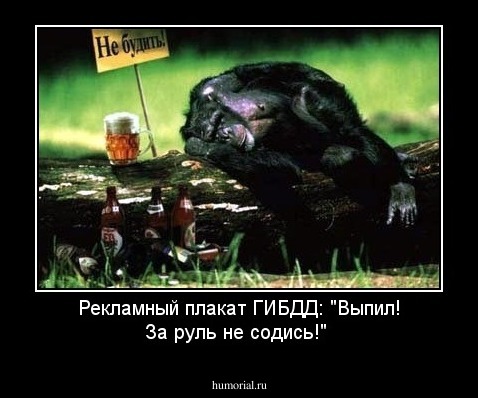 Рекламный плакат ГИБДД: "Выпил! За руль не содись!"