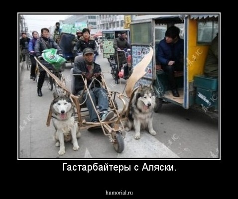 Гастарбайтеры с Аляски.
