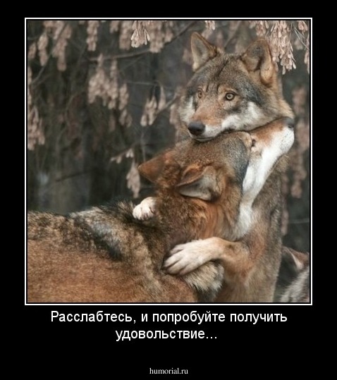 Расслабтесь, и попробуйте получить удовольствие...