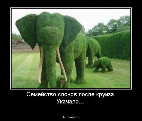 Семейство слонов после круиза. Укачало...