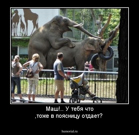 Маш!.. У тебя что ,тоже в поясницу отдает?