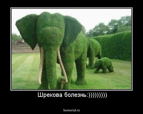  Шрекова болезнь:)))))))))