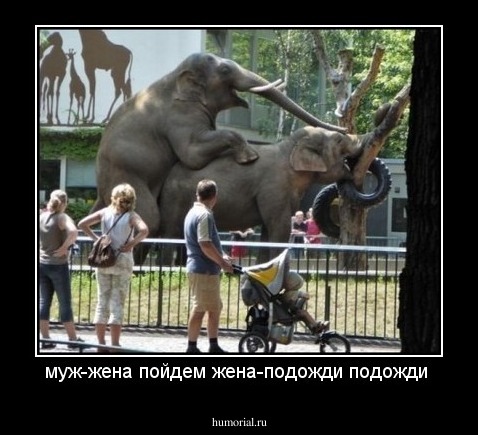 муж-жена пойдем
жена-подожди подожди