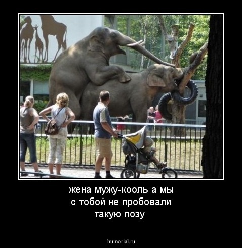 жена мужу-кооль а мы с тобой не пробовали такую позу