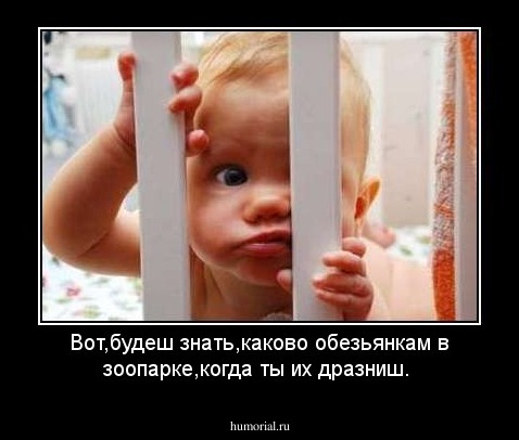 Вот,будеш знать,каково обезьянкам в зоопарке,когда ты их дразниш.