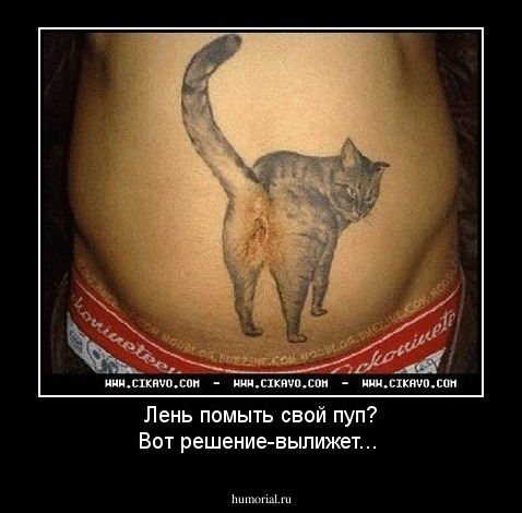 Лень помыть свой пуп? Вот решение-вылижет...
